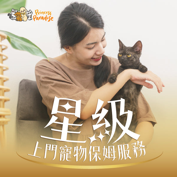 星級上門寵物保姆服務