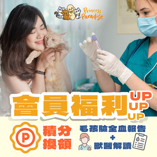 【會員計劃積分換購專用】貓狗驗全血報告+獸醫解讀