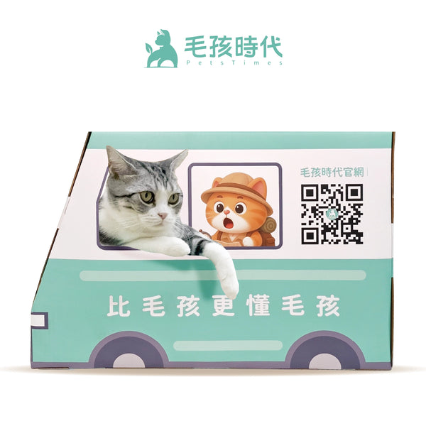 毛孩時代 貓抓車車