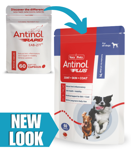 ANTINOL Rapid / Plus 安適得 速效版 犬用關節青口油精華 60粒裝 [澳洲直送 | 平行進口 | 最佳食用日期至01/2027]