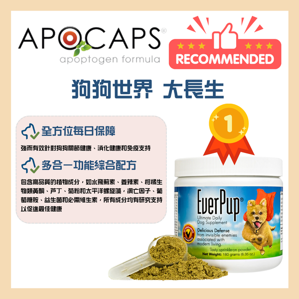 EverPup 寵物全方位天然補充品 Ultimate Daily Dog Supplement 180g #國際知名獸醫研發 [美國直送 | 平行進口 | 最佳食用日期到04/2026]