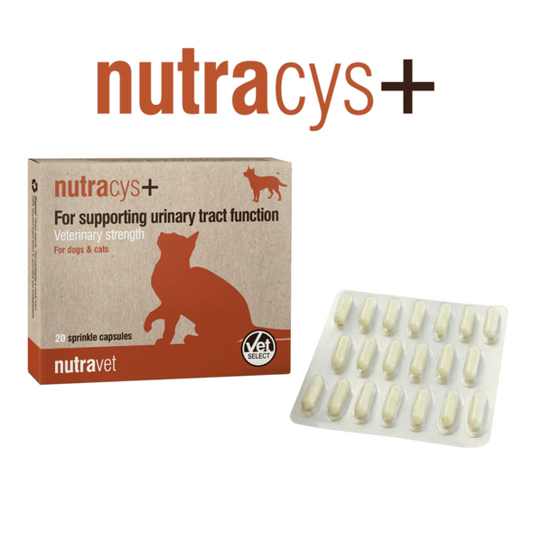 NUTRAVET NUTRACYS 促進泌尿道功能健康 營養膠囊 (貓狗合用) 每盒220粒膠囊 [英國直送 | 平行進口 | 最佳食用日期到02/2026]