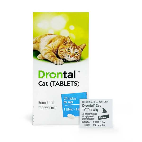Drontal Plus 4公斤貓用杜蟲藥 (單片) [香港行貨 | 最佳食用日期到]