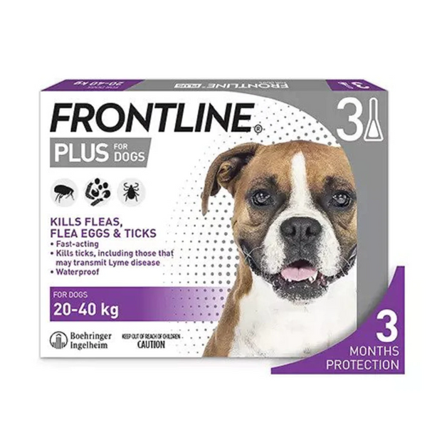 FRONTLINE - 犬用殺蚤防牛蜱滴劑 3支裝 大型犬 20-40公斤 [原裝香港行貨 | 最佳使用日期到07/2026]