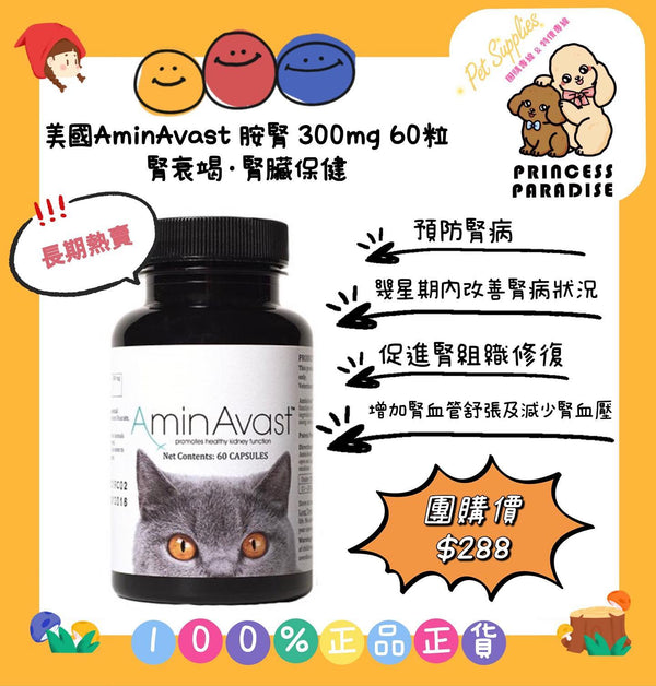 美國 AminAvast 胺腎 60粒裝 貓用款 300mg [美國直送 | 平行進口 | 最佳食用日期至11/2025]