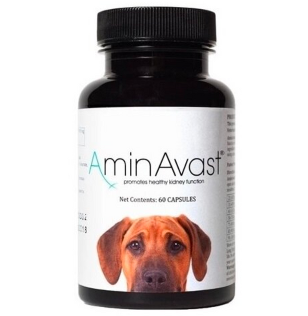 美國 AminAvast 胺腎 60粒裝 狗用款 1000mg [美國直送 | 平行進口 | 最佳食用日期至05/2026]