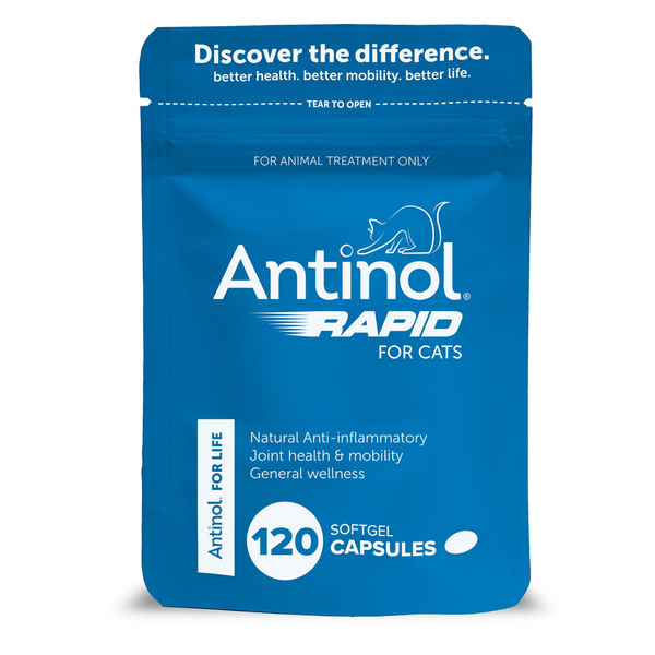 ANTINOL Rapid 安適得 速效版 貓用關節青口油精華 120粒裝 [澳洲直送 | 平行進口 | 最佳食用日期至08/2025]