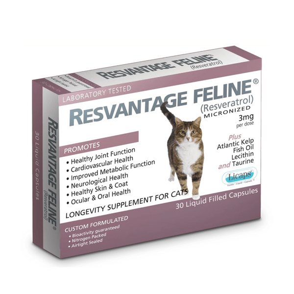 Resvantage Canine 維蘆醇 白藜蘆醇 貓用 30粒裝 [美國直送 | 平行進口 | 最佳食用日期至11/2027]