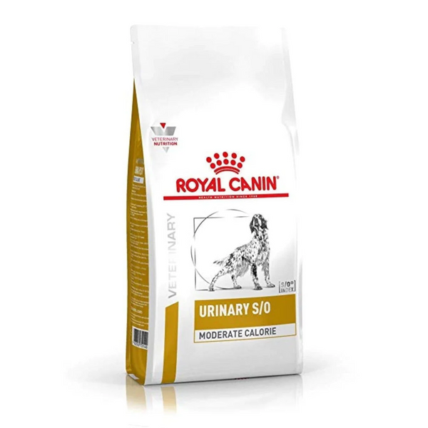 ROYAL CANIN - 成犬泌尿道配方處方糧低卡路里 CANINE URINARY S/O MODERATE CALORIE 6.5kg [歐洲直送 | 平行進口 | 最佳食用日期到10/2025]