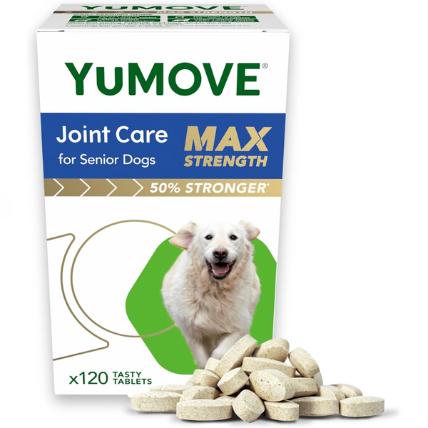 YuMOVE Joint Care PLUS Max Strength for Senior Dogs 加強版老狗專用關節 120粒裝 [英國製造 | 平行進口 | 最佳食用日期至06/2026]