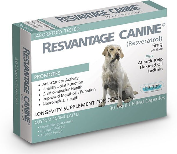 Resvantage Canine 維蘆醇 白藜蘆醇 犬用 30粒裝 [美國直送 | 平行進口 | 最佳食用日期至11/2027]