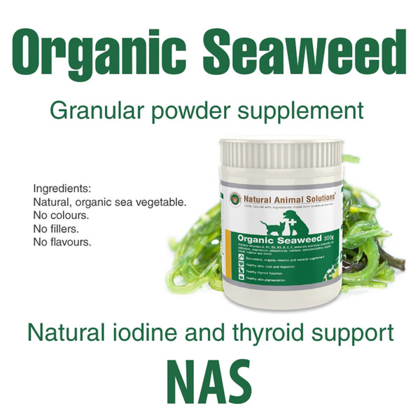 NAS Organic Seaweed 有機特濃海藻粉 300g [澳洲直送 | 平行進口 | 最佳使用日期至02/2026]