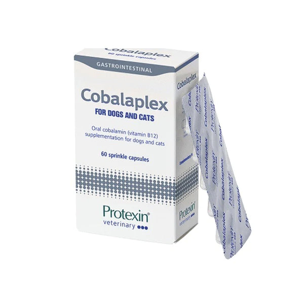 PROTEXIN COBALAPLEX 維他命B12及B9補充劑 60 粒裝 [英國直送 | 平行進口 | 最佳食用日期至06/2025]